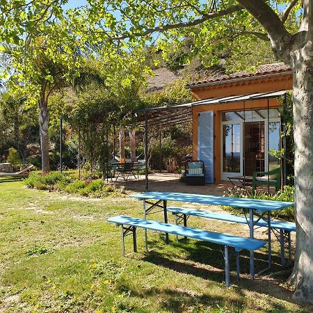 House With Garden And Sea View Βίλα La Londe-les-Maures Εξωτερικό φωτογραφία