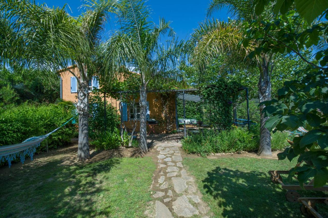 House With Garden And Sea View Βίλα La Londe-les-Maures Εξωτερικό φωτογραφία