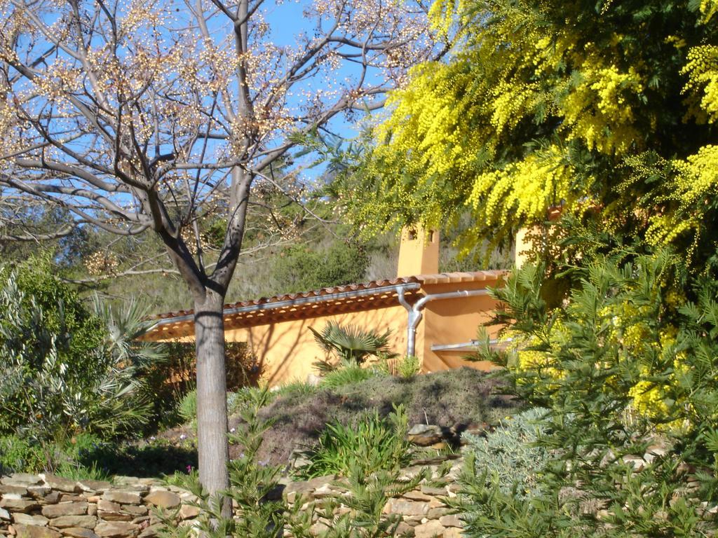 House With Garden And Sea View Βίλα La Londe-les-Maures Δωμάτιο φωτογραφία