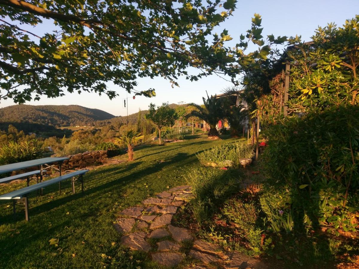 House With Garden And Sea View Βίλα La Londe-les-Maures Εξωτερικό φωτογραφία